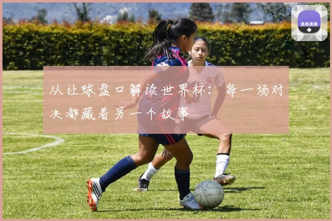 从让球盘口解读世界杯：每一场对决都藏着另一个故事