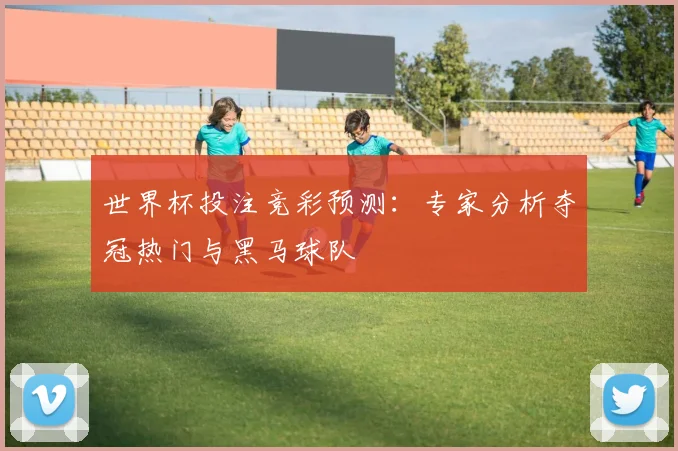 世界杯投注竞彩预测：专家分析夺冠热门与黑马球队