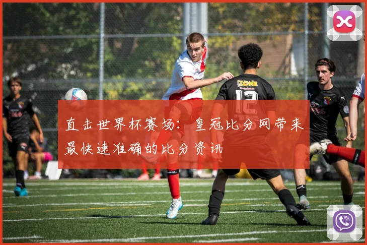 直击世界杯赛场：皇冠比分网带来最快速准确的比分资讯