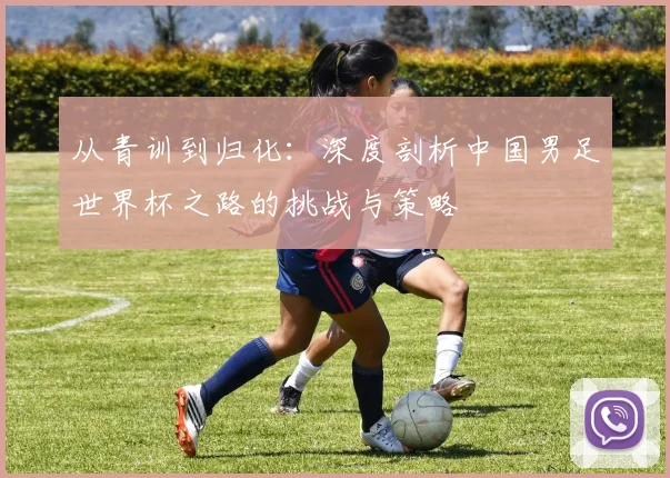 从青训到归化：深度剖析中国男足世界杯之路的挑战与策略