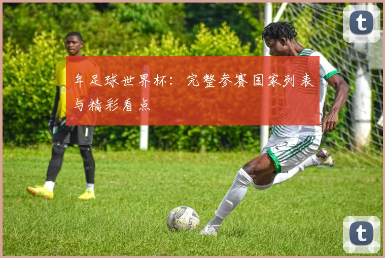 年足球世界杯：完整参赛国家列表与精彩看点