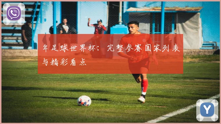 年足球世界杯：完整参赛国家列表与精彩看点