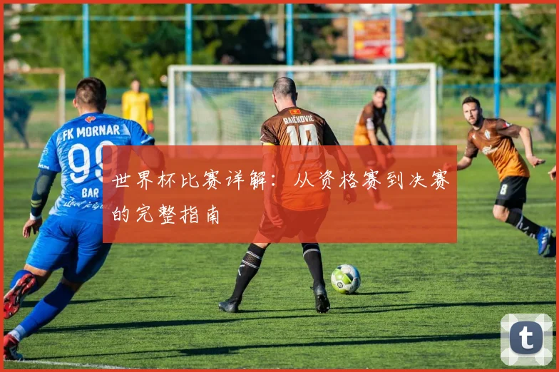 世界杯比赛详解：从资格赛到决赛的完整指南