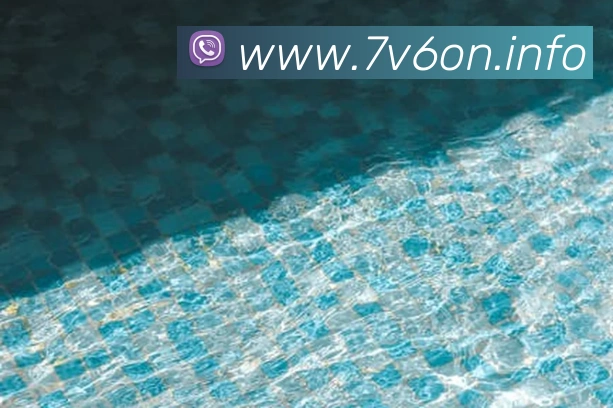 九游网页版官网平台生态图